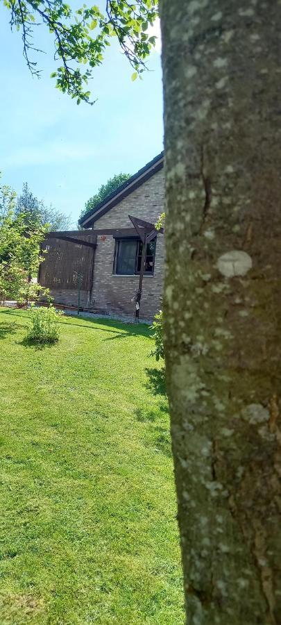 Gite Les Sittelles Tenneville Exterior foto